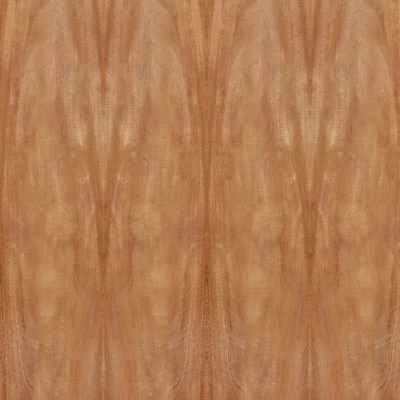 Dimensione standard 2440*1220mm del grano della corona dell'impiallacciatura di legno di mogano naturale dell'Africa per il Governo della porta FSC