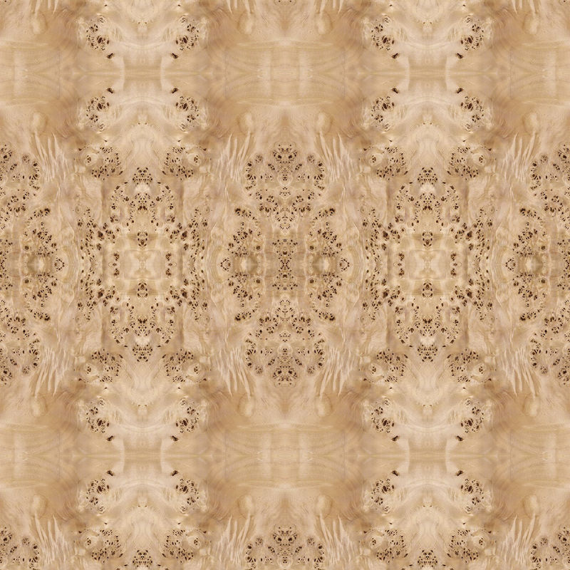 Il pannello operato ha affrontato il rifornimento bianco naturale della Cina di dimensione allungato 2440/2745mm della decorazione di Burl Wood Veneer For Hotel del pioppo
