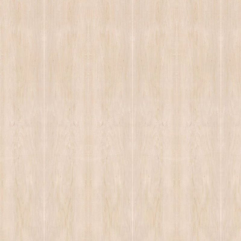 Dimensione standard affrontata 2440*1220 dell'acero dell'impiallacciatura di legno naturale della corona per l'iso della fabbrica della Cina dell'armadio e della mobilia