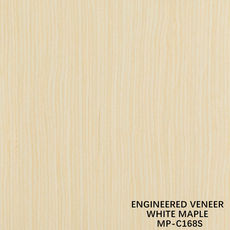 Legno ricomposto di lusso Veneer bianco acero 168S grano retto per interni auto