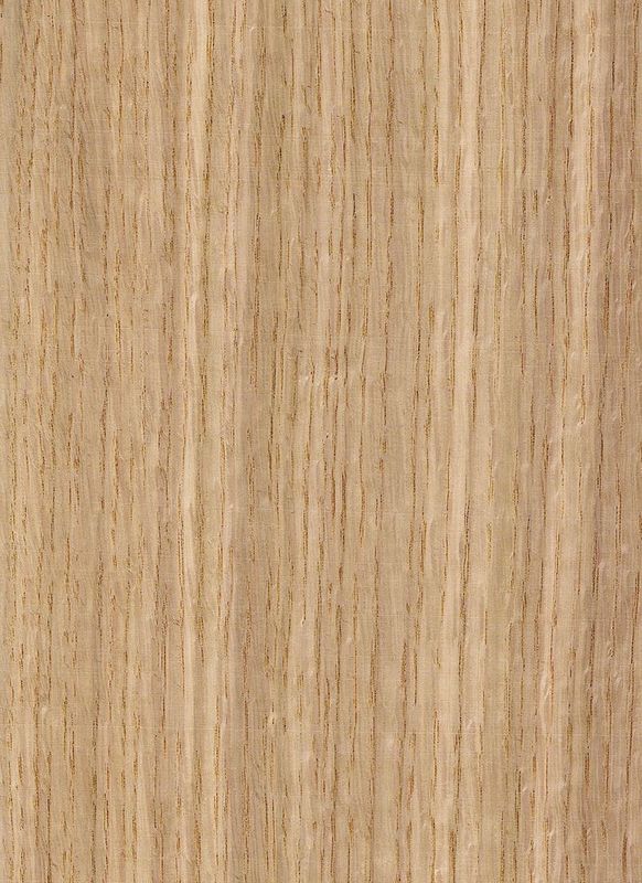 American White Oak Solid Wood Sheet Slice Straight For Fancy Panel And Dyeed Veneer 0,45 mm di spessore