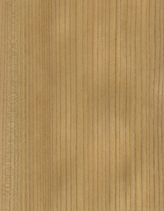 Legno massello fogli di olmo americano di grado A per la corona tagliata al quarto grano colore naturale per la faccia della porta 3200mm in su