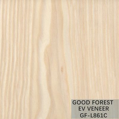 Servizio su misura supporto di legno costruito dell'impiallacciatura di legno dell'acero dell'impiallacciatura