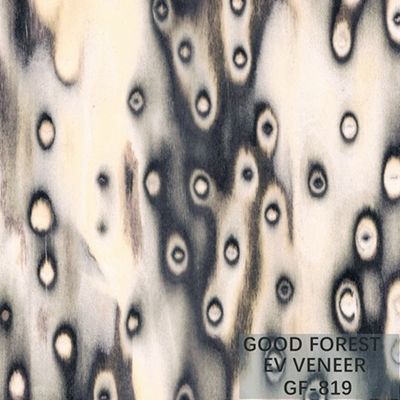 Dimensione di legno costruita di Burl Wood Veneer EV 2500*640 millimetro dell'albero dell'impiallacciatura