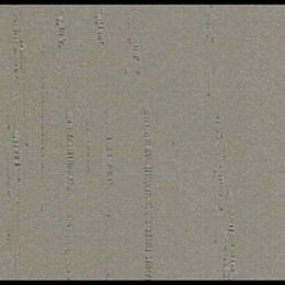 Superfici decorative del substrato del film di duttilità pp con Misty Rain Grain