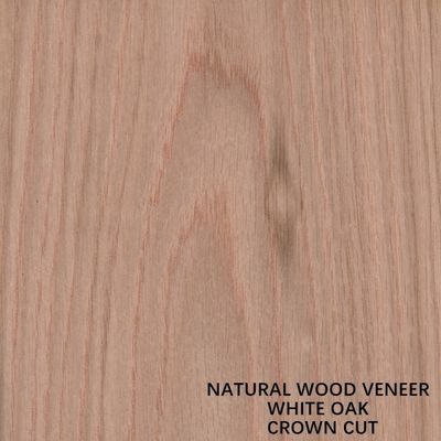 Il legno di quercia naturale americano impiallaccia la corona tagliata piana ha tagliato lo spessore 0.5-0.55mm del grado del AAA del grano per il fronte Cina del Governo