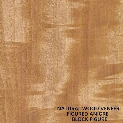 Figura di legno naturale colore uniforme 0.5mm del blocchetto dell'impiallacciatura di Anegre Africa del grano