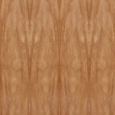 Dimensione standard 2440*1220mm del grano della corona dell'impiallacciatura di legno di mogano naturale dell'Africa per il Governo della porta FSC